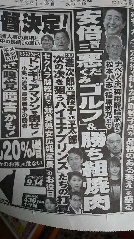 週刊ポスト 広告 政治