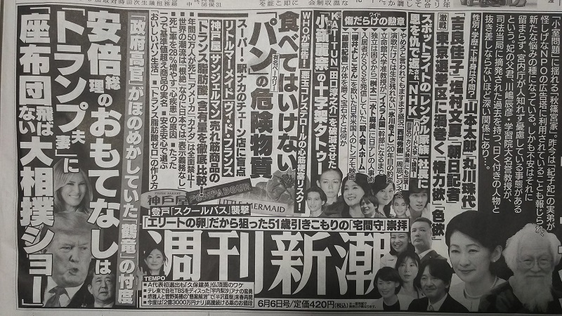 週刊新潮 広告 政治