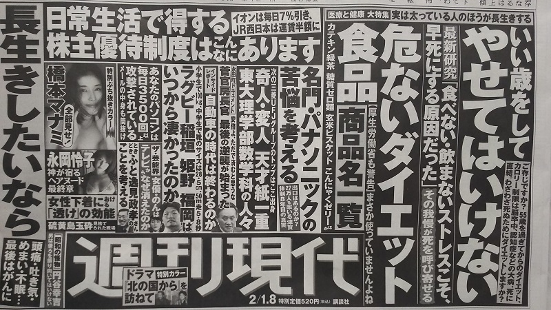 週刊現代 広告 政治