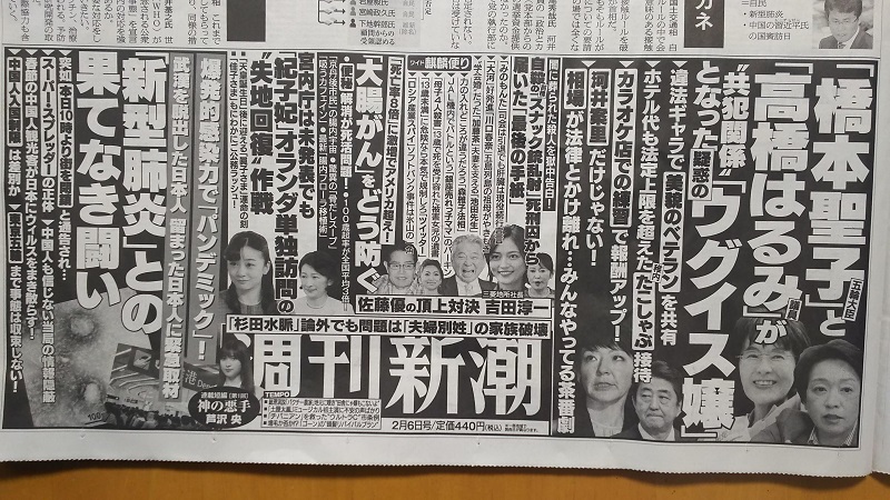 週刊新潮 広告 政治
