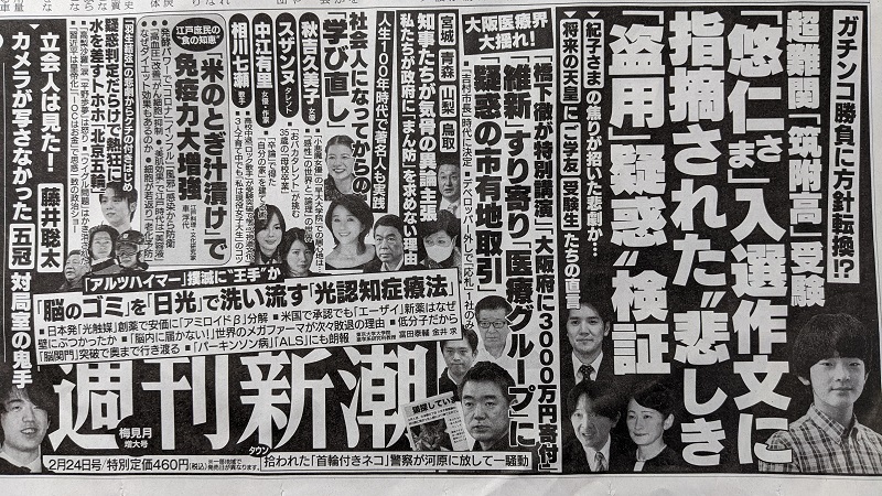 週刊新潮 広告 政治