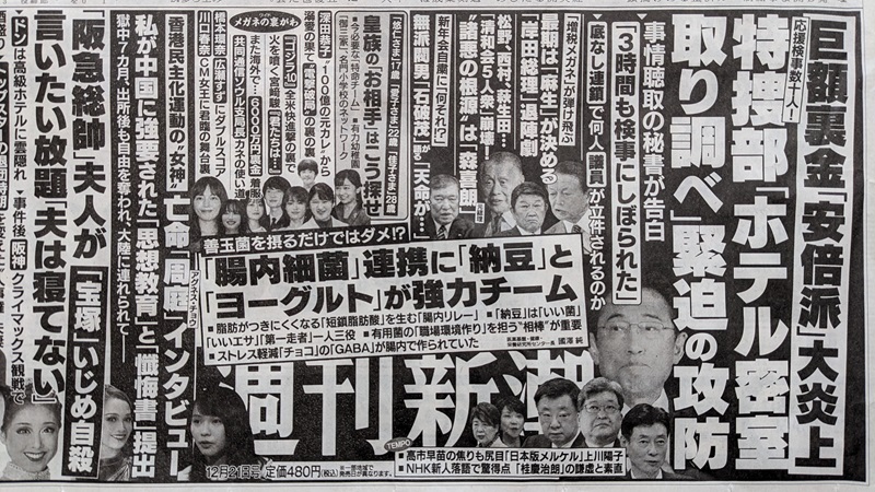 週刊新潮 広告 政治