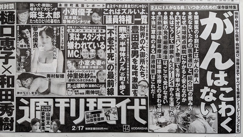 週刊現代 広告 政治