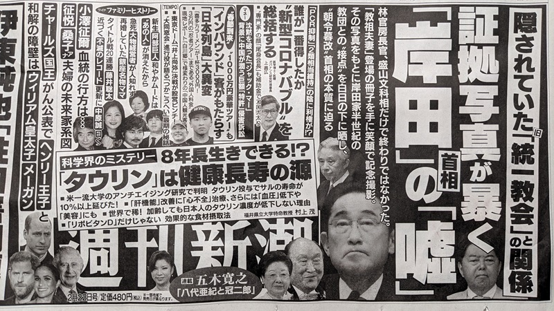 週刊新潮 広告 政治