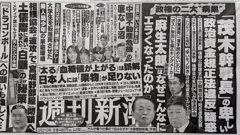 週刊新潮 広告 政治