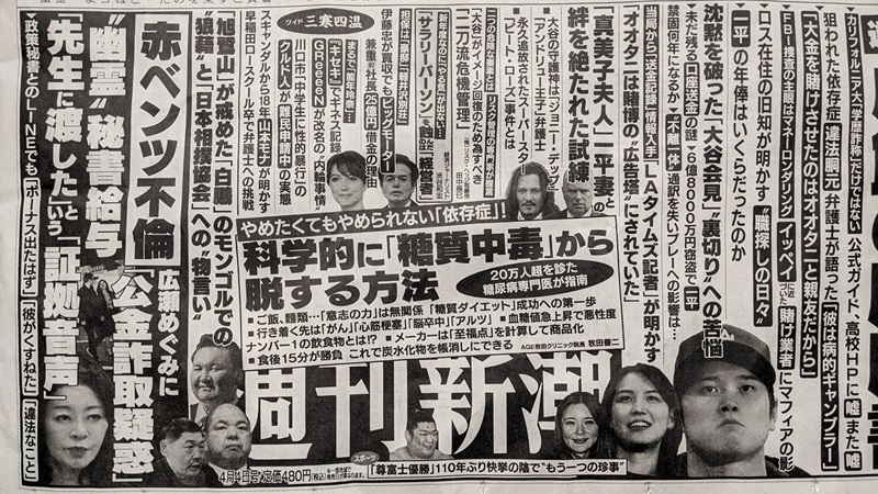 週刊新潮 広告 政治