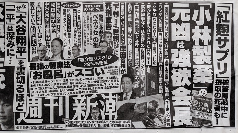 週刊新潮 広告 政治