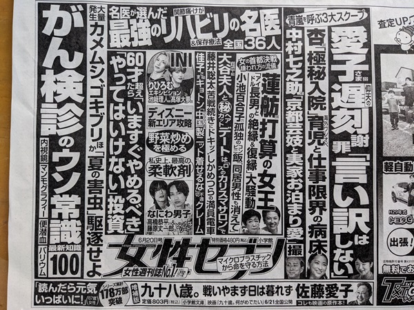 女性セブン 広告 政治