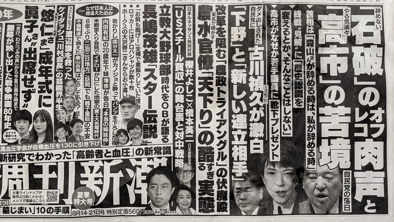 週刊新潮 広告 政治